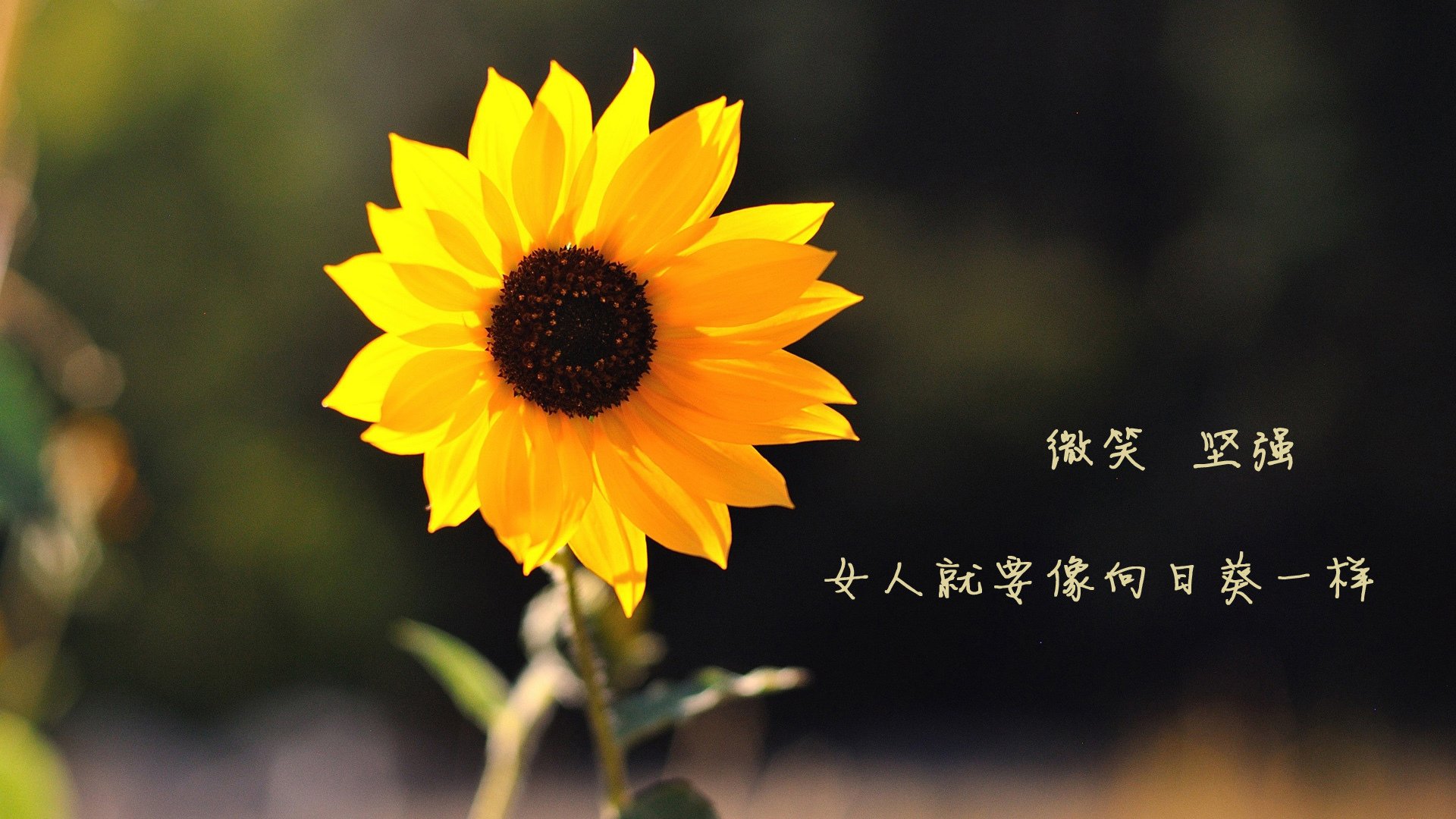 海洋监测设备厂家排名前十名(海洋监测设备厂家排名前十名有哪些)